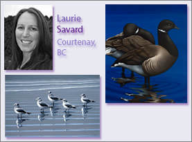Laurie Savard, Portrait and Examples