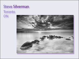 Steve Silverman, Example