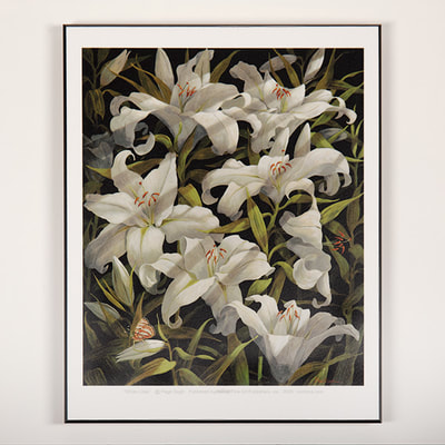 Example, Float Mounted Open Edition on Paper, "White Lilies" by Page Ough