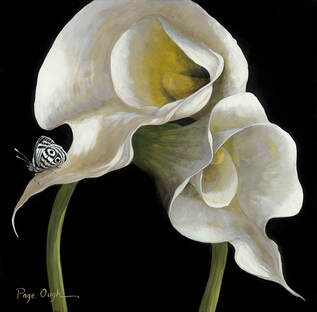Page Ough, The Dance Calla Lilies,  Open Edition, Rag Paper, Float Mounted
